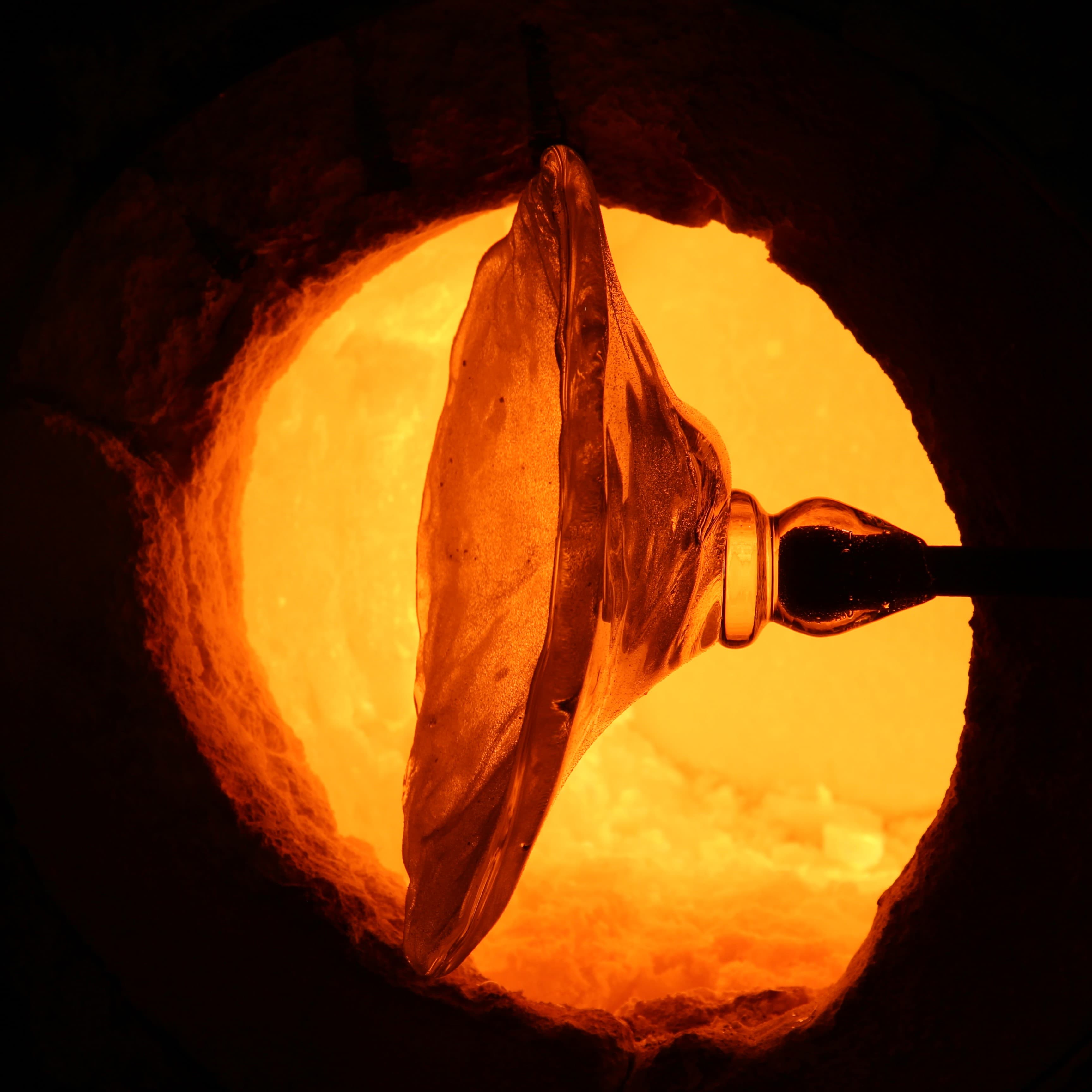 fotografie ze smutecniho vence